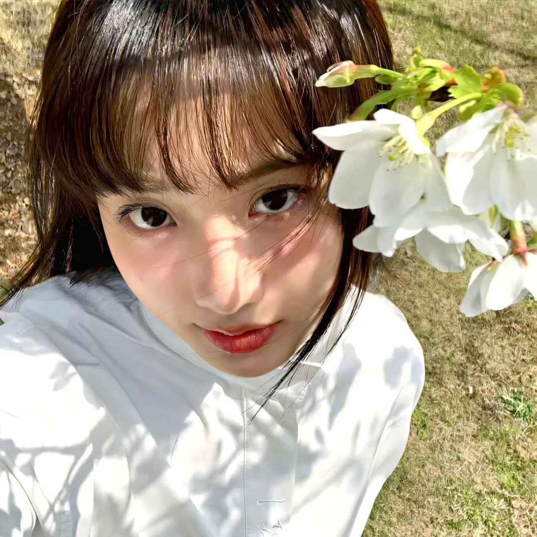 双世宠妃